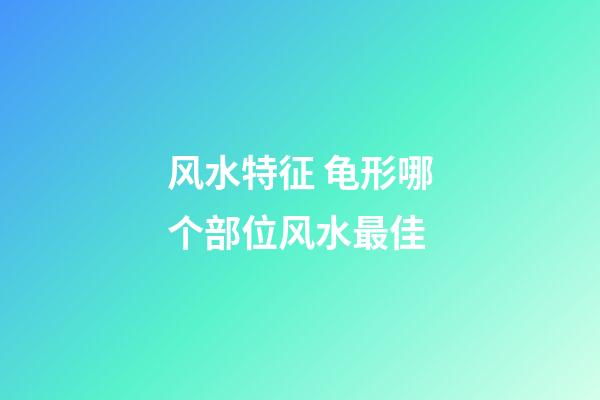 风水特征 龟形哪个部位风水最佳